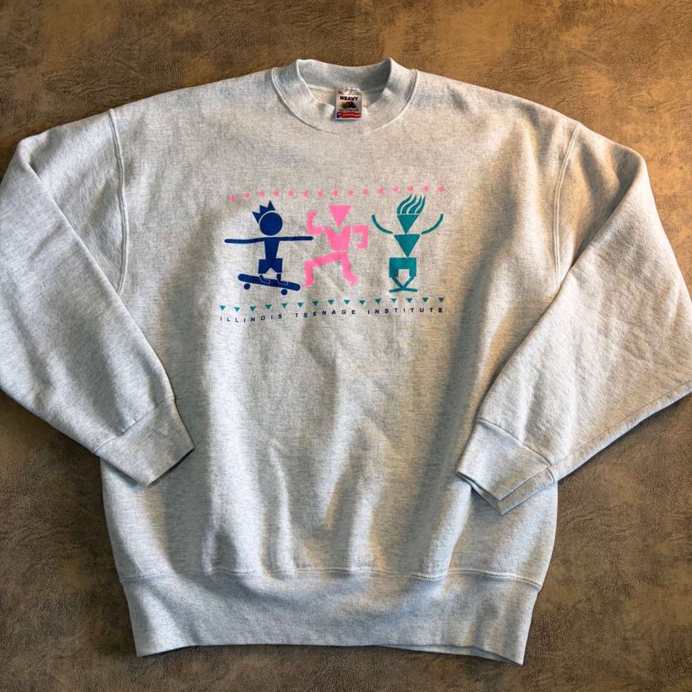 Fruit of the Loom Sweatshirt Mens XL Gray Vintage 90s Illinois Teenage Institute